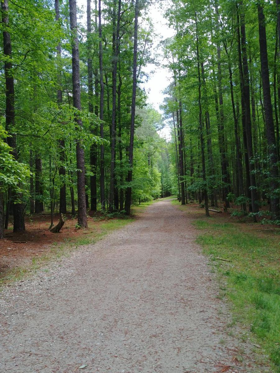 Graylyn Multiuse Trail in Umstead is stroller friendly.