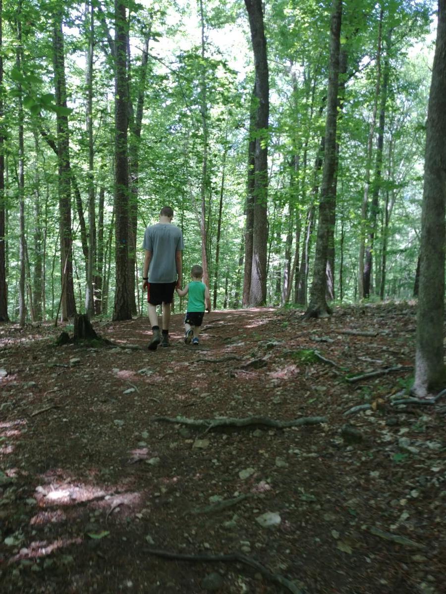 The Sycamore Trail has a lot of roots and rocks in the path and would not be stroller friendly.